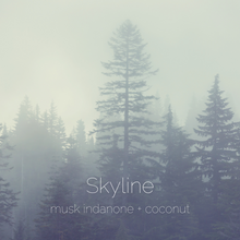 Load image into Gallery viewer, Skyline : musk indanone + coconut