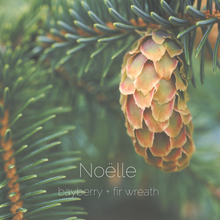 Load image into Gallery viewer, Noëlle : bayberry + fir wreath