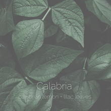 Load image into Gallery viewer, Calabria : calabrian lemon + lilac leaves