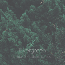 Load image into Gallery viewer, Evergreen : juniper fir + balsam spruce