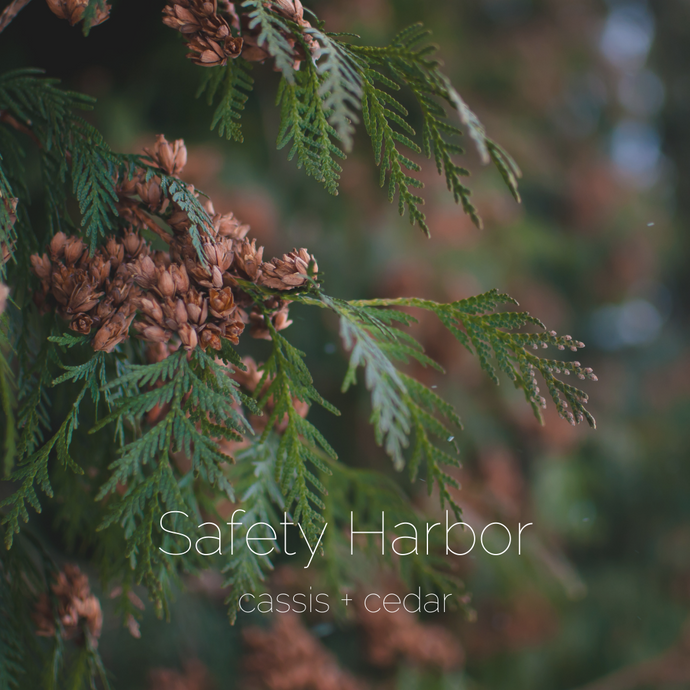 Safety Harbor : cassis + cedar