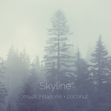 Load image into Gallery viewer, Skyline : musk indanone + coconut
