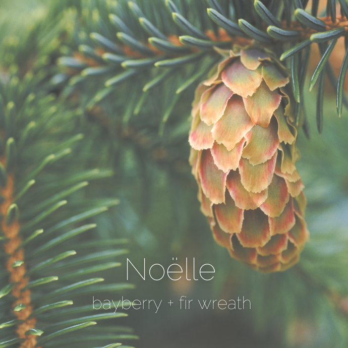 Noëlle : bayberry + fir wreath