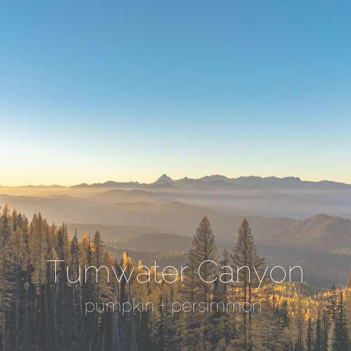 Tumwater Canyon : pumpkin + persimmon