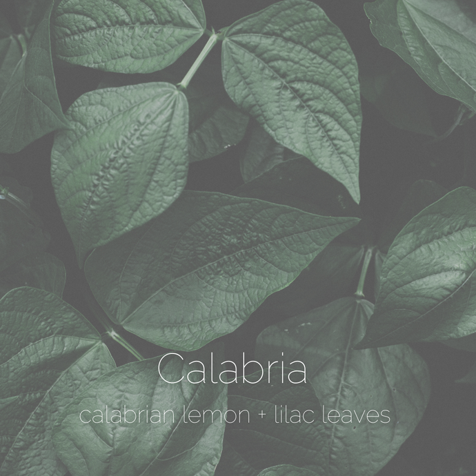 Calabria : calabrian lemon + lilac leaves