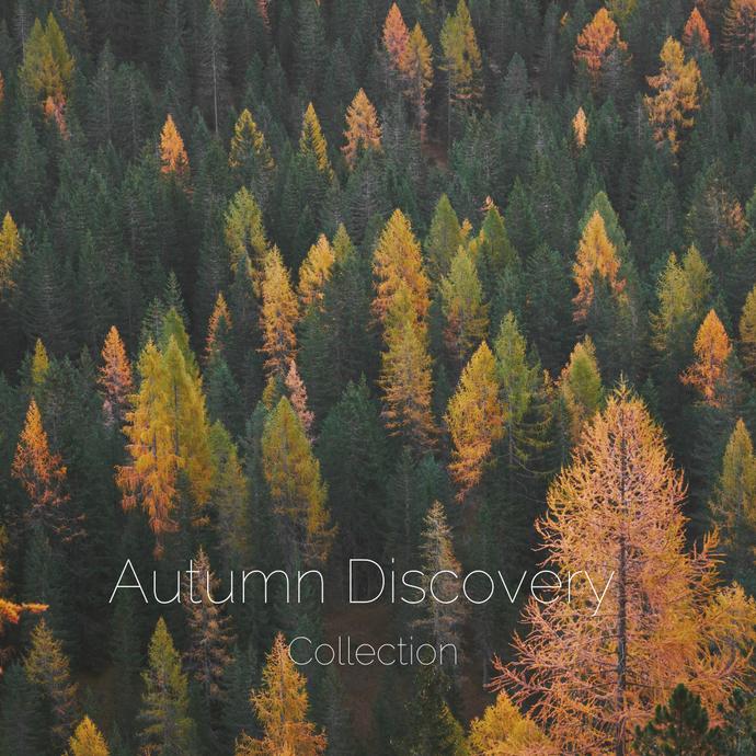 Autumn Discovery Collection