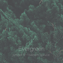 Load image into Gallery viewer, Evergreen : juniper fir + balsam spruce
