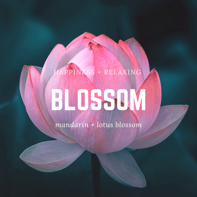 Blossom : mandarin + lotus blossom