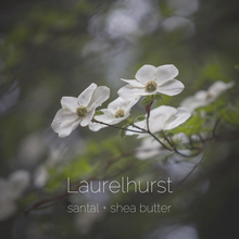 Load image into Gallery viewer, Laurelhurst : santal + shea butter
