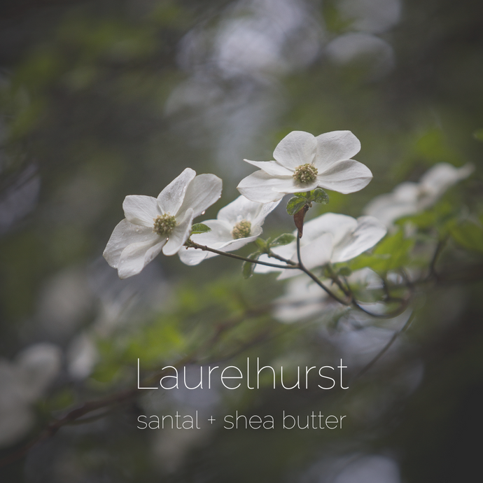 Laurelhurst : santal + shea butter