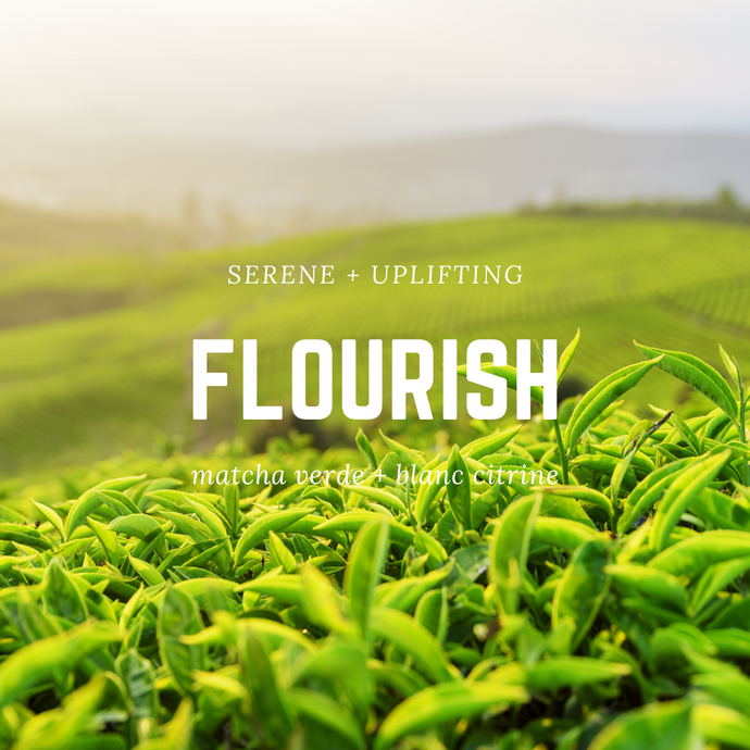 Flourish : matcha verde + blanc citrine